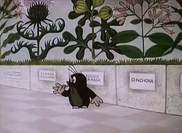 不用满世界找人打听了，验证植物（女子回家方知父母思念成疾已先后去世）