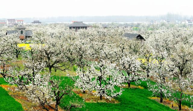 小县城滨海县，这里是江苏滨海