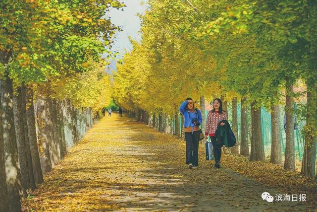 小县城滨海县，这里是江苏滨海