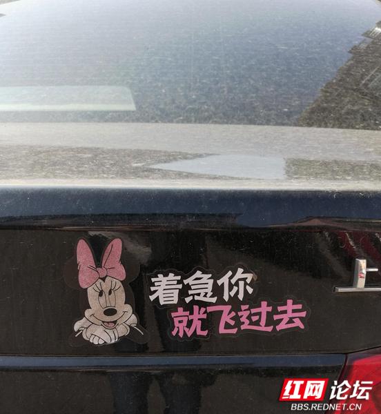 汽车贴纸有特色吗，汽车上的花式车贴