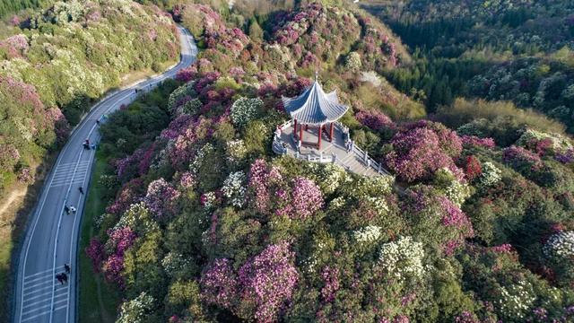 8月去贵州旅游攻略路线推荐一下，八月贵州旅游6天5夜结伴游玩详细路线