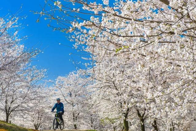 8月去贵州旅游攻略路线推荐一下，八月贵州旅游6天5夜结伴游玩详细路线