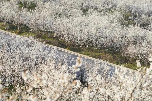 8月去贵州旅游攻略路线推荐一下，八月贵州旅游6天5夜结伴游玩详细路线