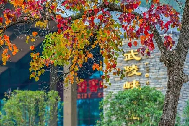 三八妇女节上海景点门票，三八女神节福利第二波