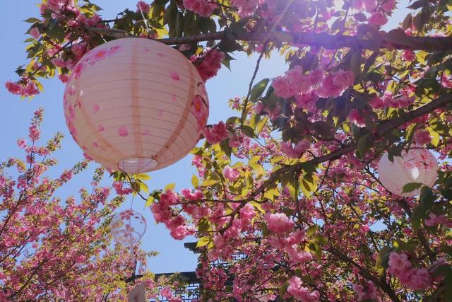 三八妇女节上海景点门票，三八女神节福利第二波