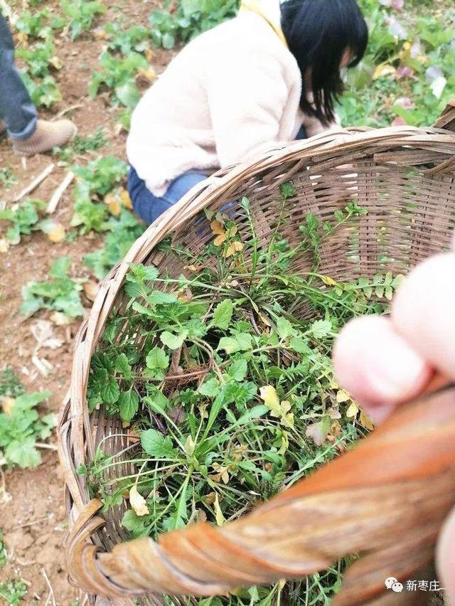 枣庄特产有哪些美食，山东枣庄最有名的6大特色美食