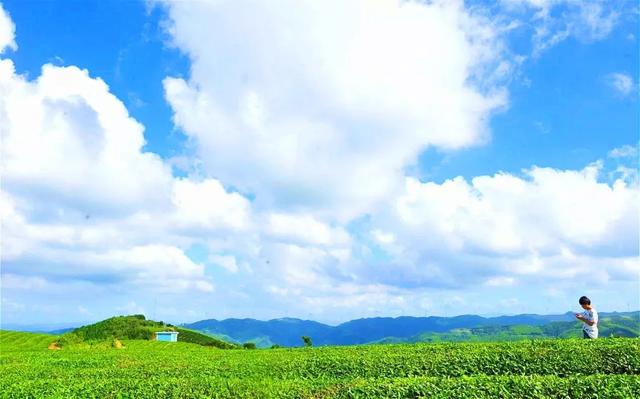 即刻就出发何必远行，国内自驾游必去的10条公路