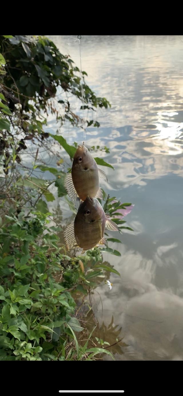 超简单调漂技巧分享，简单易懂的调漂方法