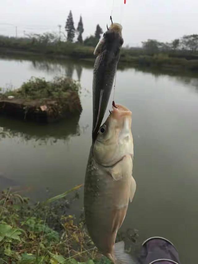 超简单调漂技巧分享，简单易懂的调漂方法