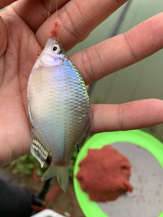 超简单调漂技巧分享，简单易懂的调漂方法