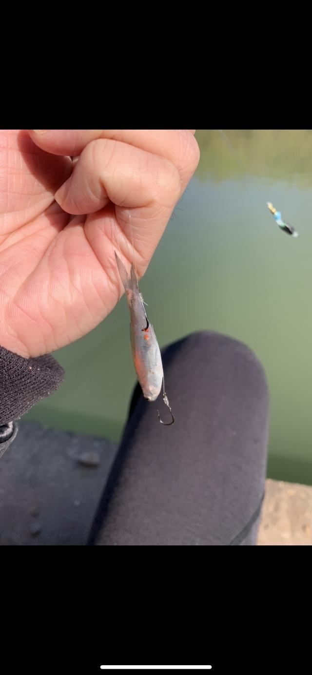 超简单调漂技巧分享，简单易懂的调漂方法