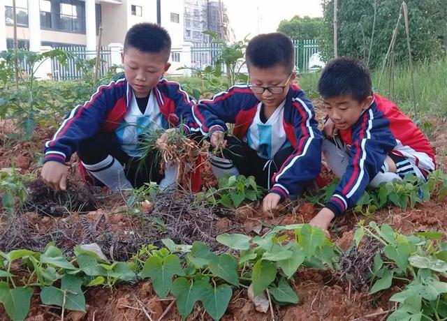 江西赣州市有名的学校，江西这12所特色大学值得选报