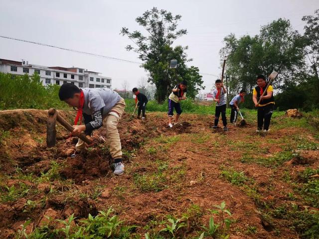 江西赣州市有名的学校，江西这12所特色大学值得选报