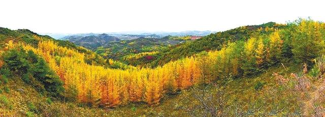 天水的历史演变，那“天水”的名称是如何来的呢