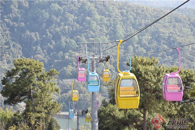 寻踪茶马古道品千年茶香寻古老马帮文明，云南茶马古道简介资料
