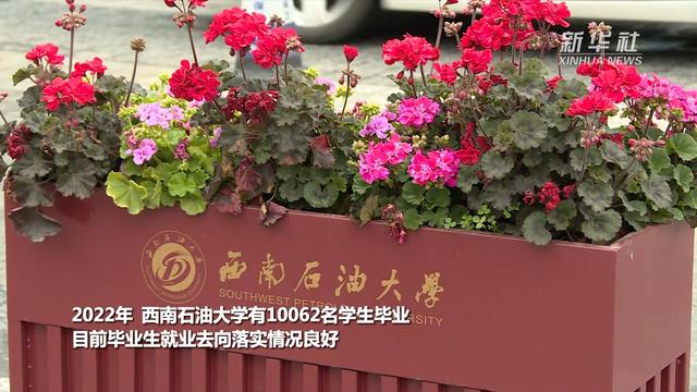 西南石油大学云就业系统，新华全媒西南石油大学