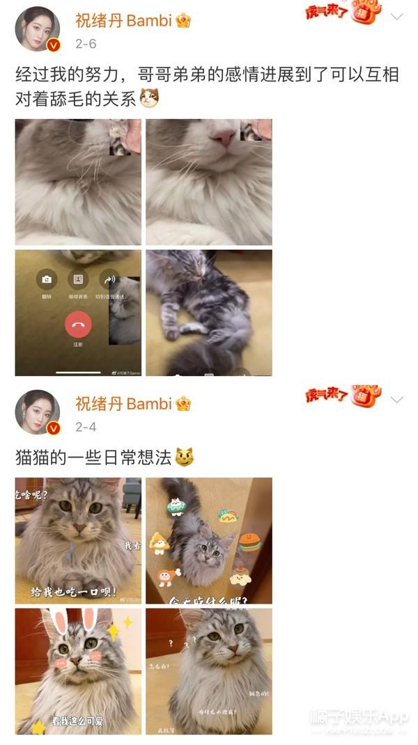 三生三世十里桃花玄女，三生三世十里桃花神仙人物关系（为何会许配给地位低下的黑熊精）