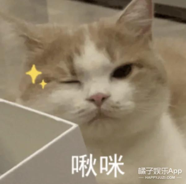 三生三世十里桃花玄女，三生三世十里桃花神仙人物关系（为何会许配给地位低下的黑熊精）