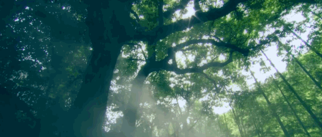 即刻就出发何必远行，国内自驾游必去的10条公路