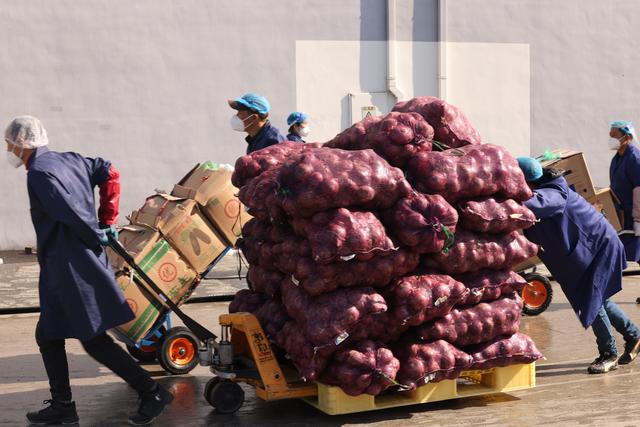 上海素菜包用什么青菜，小城大爱这些蔬菜包