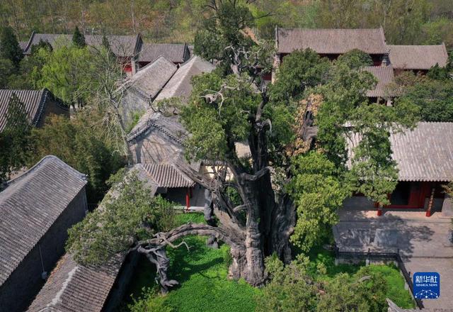 登封嵩岳寺塔立面图教程，天空之眼瞰登封