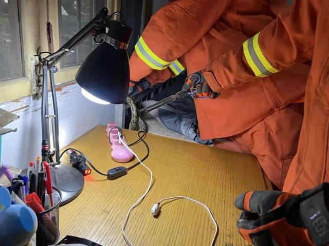 工地挖出大蟒蛇，广东一工地出现大蟒蛇