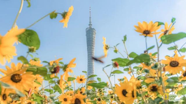 广州发展机会怎么样，投资广州  未来可期