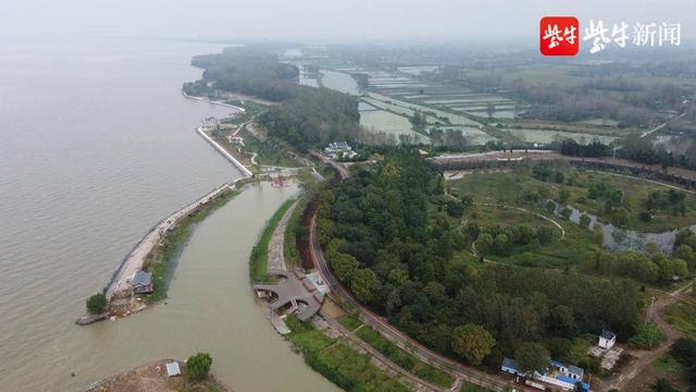 江苏洪泽湖湿地自然保护区，江苏泗洪洪泽湖保护区万鸟翔集