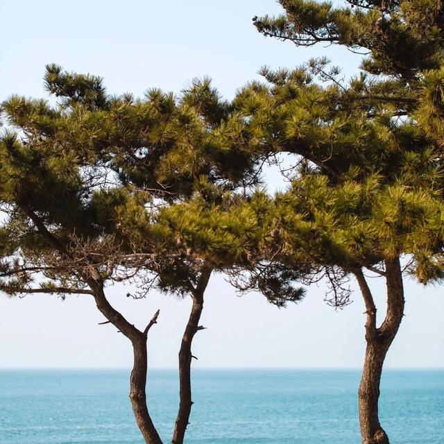 适合居住的海滨小镇，高质量海滨小城一览