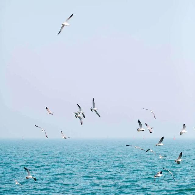 适合居住的海滨小镇，高质量海滨小城一览