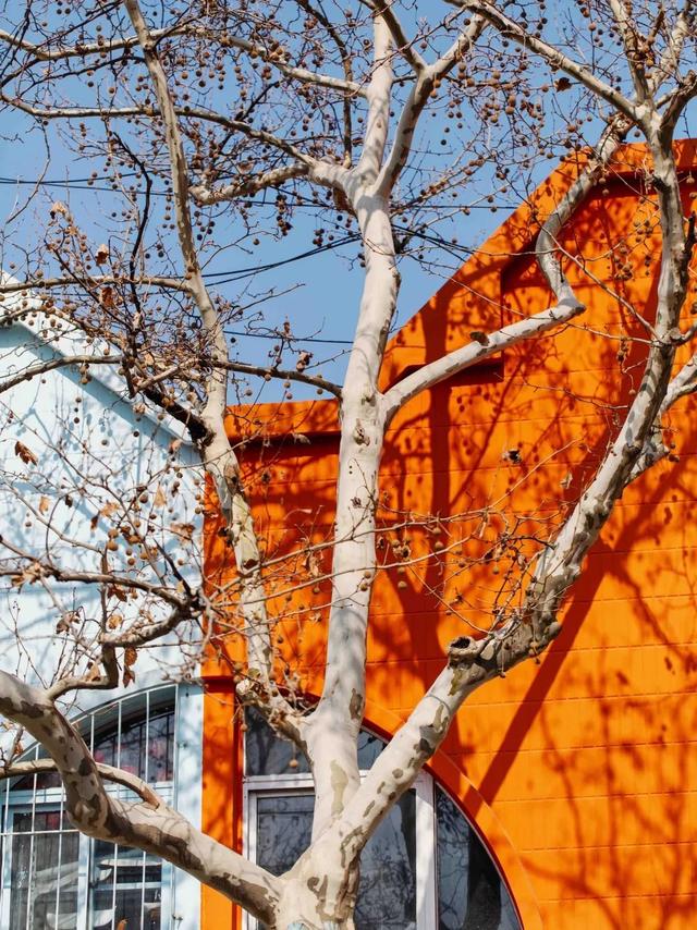 适合居住的海滨小镇，高质量海滨小城一览