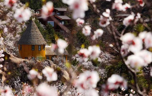 密云旅游景点大全，北京密云免费旅游景点推荐（密云五一推七条春日游路线）