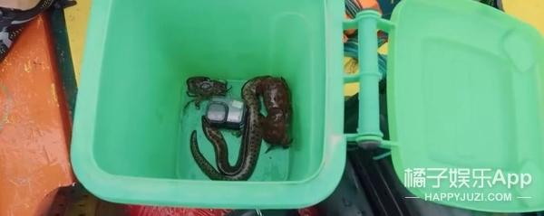 十里长街送武艺，雅克贝汉扮演者去世