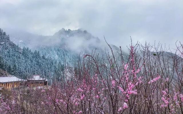 金昌旅游攻略必去景点，在“宝藏旅游地”——金昌