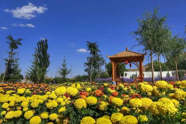 金昌旅游攻略必去景点，在“宝藏旅游地”——金昌