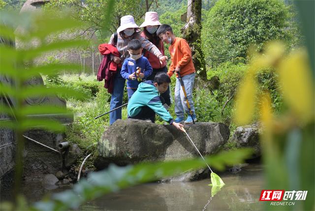 张家界假期旅游攻略，张家界5天自由行攻略