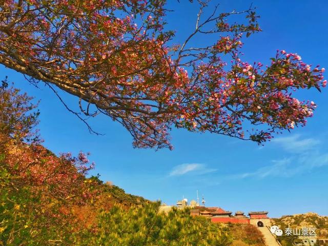 泰山云海旅行攻略，实现两天一夜穷游泰山