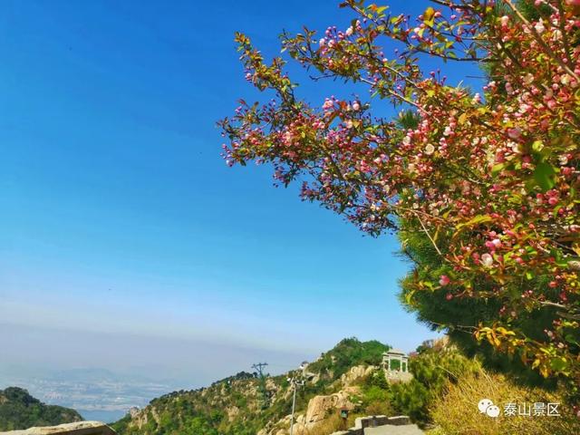 泰山云海旅行攻略，实现两天一夜穷游泰山