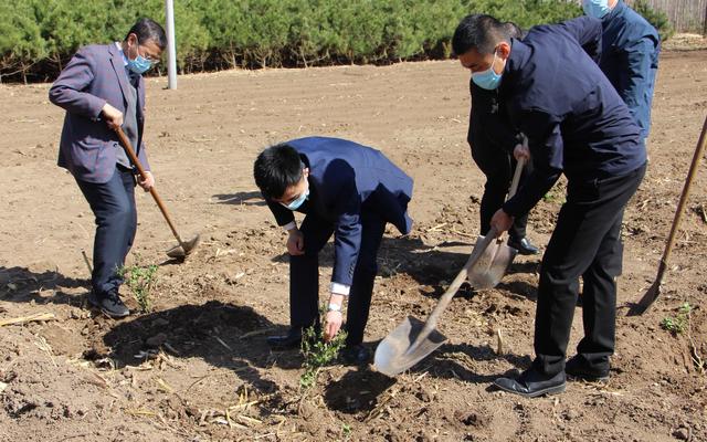 德卧6万亩金银花，延庆百里山水画廊