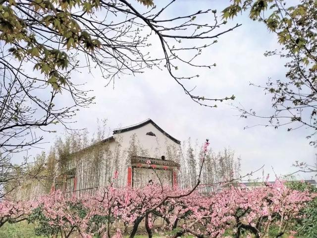 艺术里的村庄你了解吗，艺术村利弊