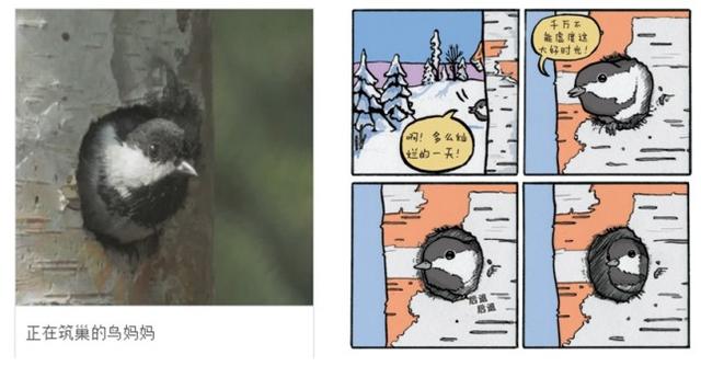 全世界上最好看的漫画书，5本天花板级别的神级漫画书