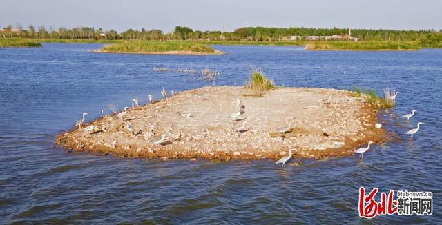河北南宫市有什么旅游景点吗，鹭影翩跹南宫湖