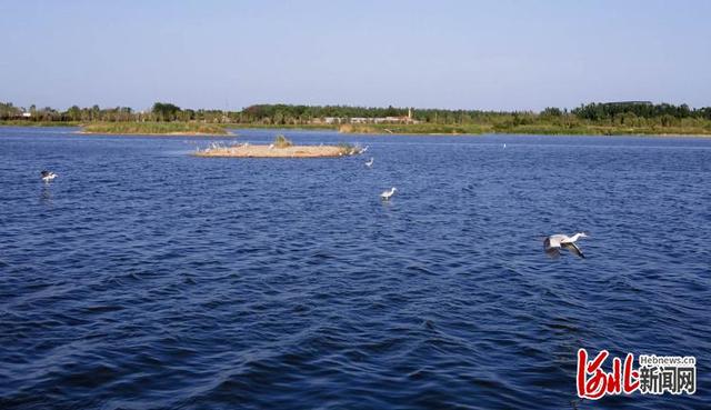 河北南宫市有什么旅游景点吗，鹭影翩跹南宫湖