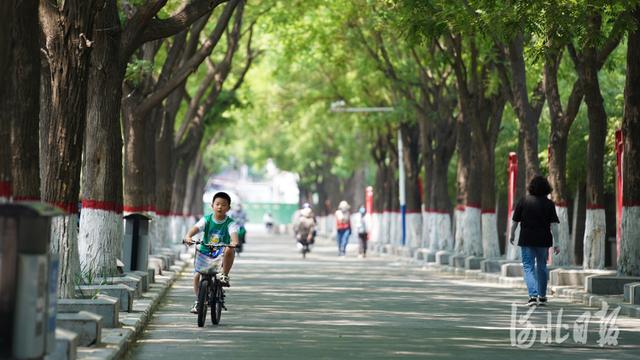 邯郸最美丛台公园，走进邯郸武灵丛台