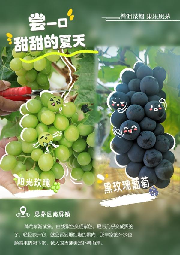 普洱思茅瓜果飘香，我的家乡普洱思茅的变化