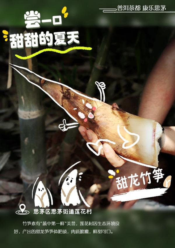 普洱思茅瓜果飘香，我的家乡普洱思茅的变化