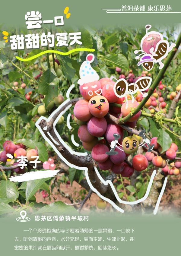 普洱思茅瓜果飘香，我的家乡普洱思茅的变化