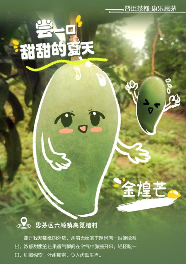 普洱思茅瓜果飘香，我的家乡普洱思茅的变化