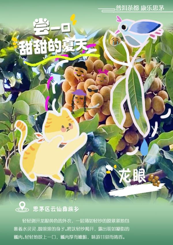 普洱思茅瓜果飘香，我的家乡普洱思茅的变化