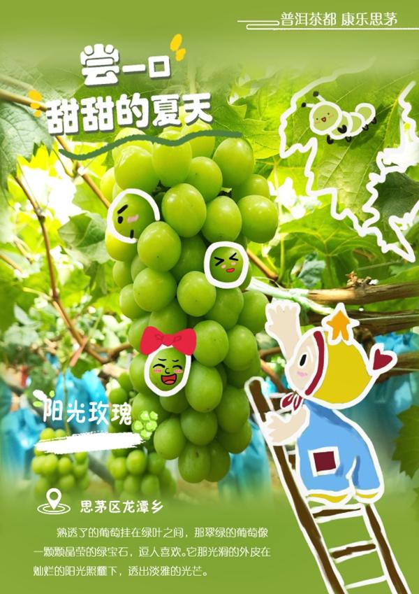 普洱思茅瓜果飘香，我的家乡普洱思茅的变化